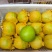 砀山酥梨承接一件代发