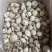 包邮剪脚精选大花菇6-8厘米白花菇