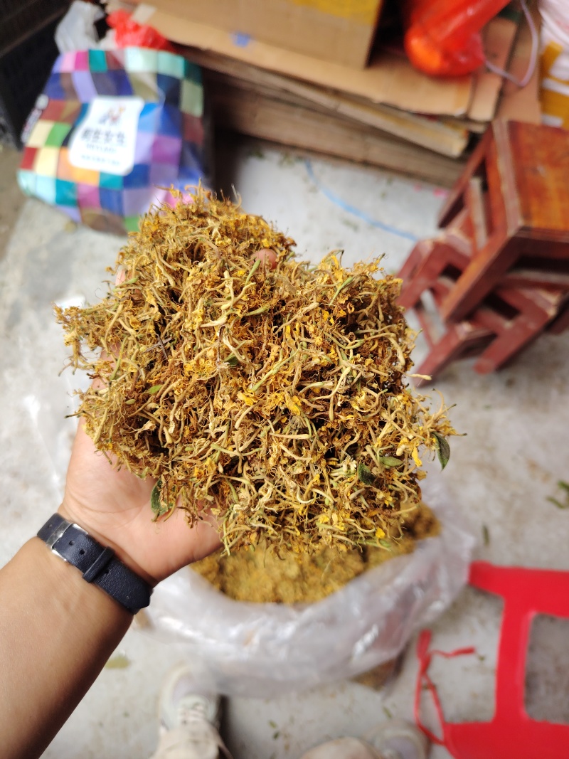 贵州精品金银花现货直发无硫无霉无杂质产地直销