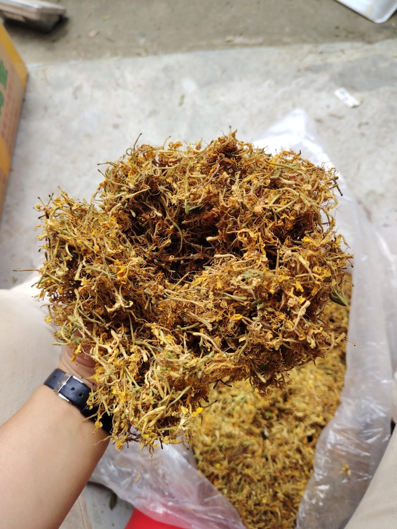 贵州精品金银花现货直发无硫无霉无杂质产地直销