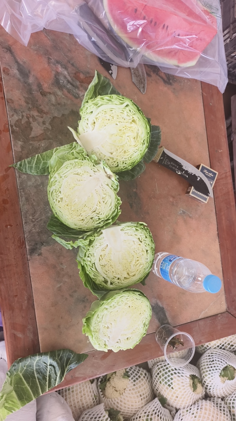 定西甘蓝，连花菜，圆包菜，产地直销，量大从优，支持看货