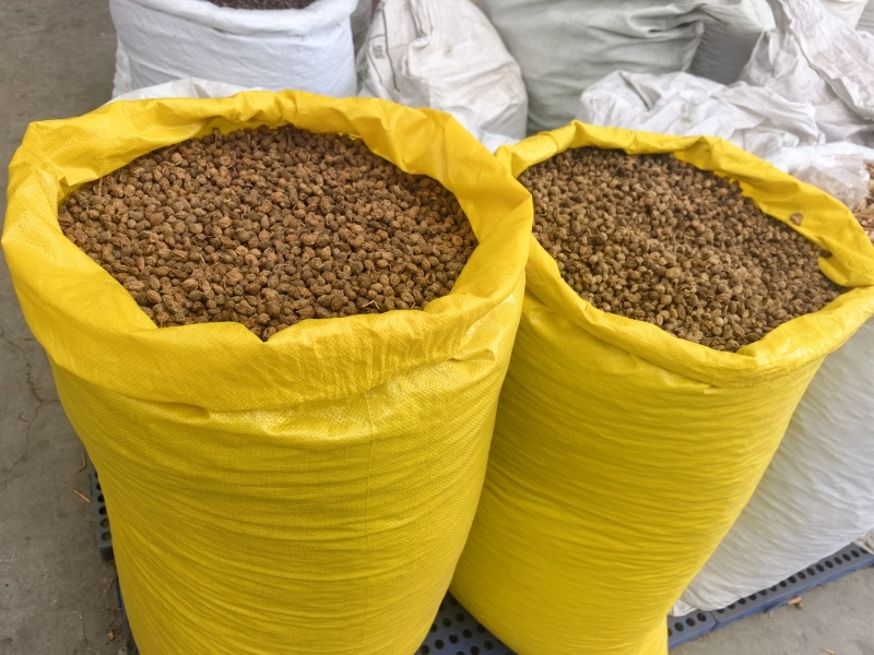 厂家批发益智仁无硫新货中药材散装香料调料大全益智仁