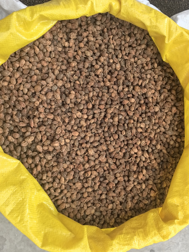 厂家批发益智仁无硫新货中药材散装香料调料大全益智仁