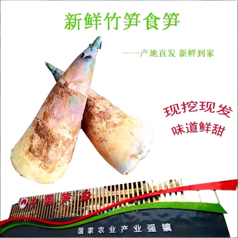 福建鲜麻笋基地直供餐饮商用量大价优欢迎联系