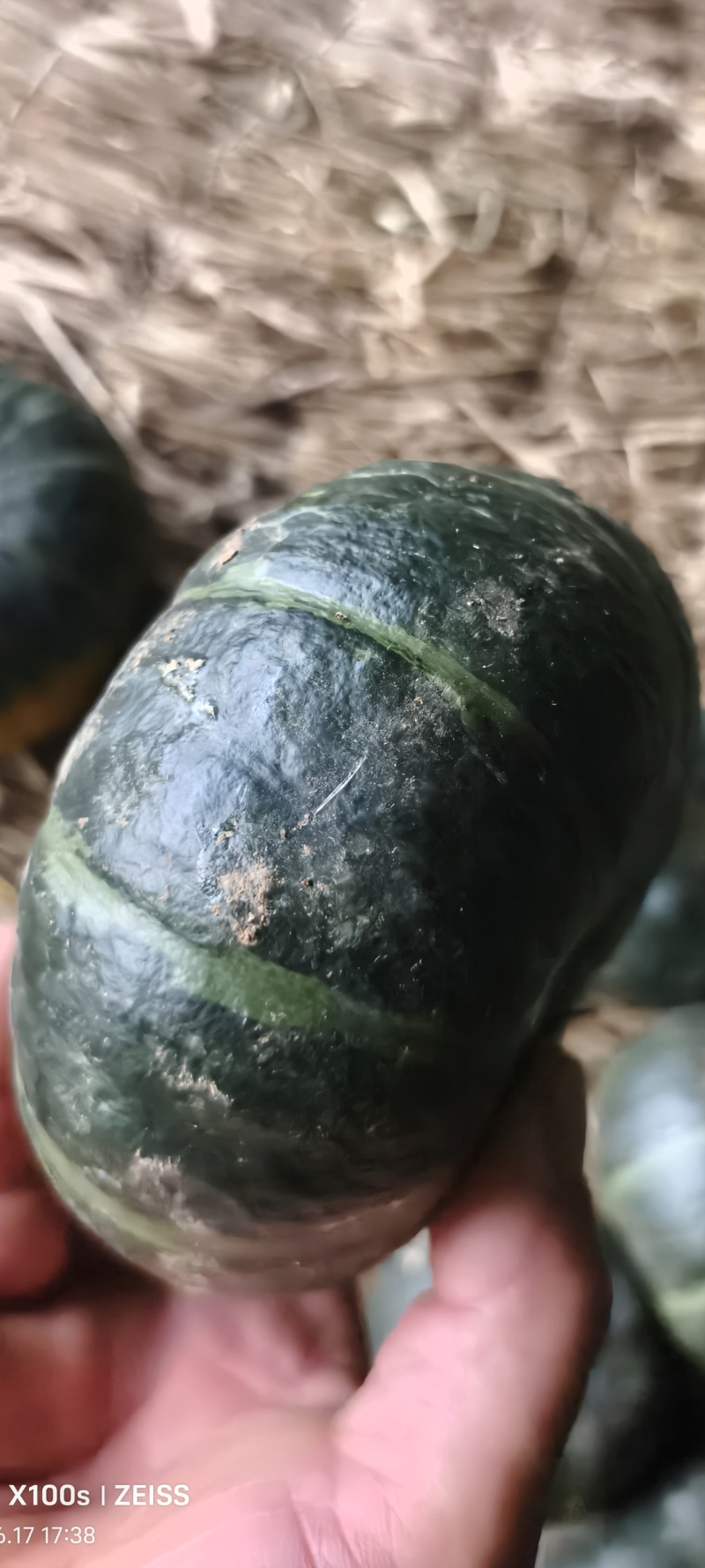 精品贝贝南瓜，软糯香甜，口感**。自产自销