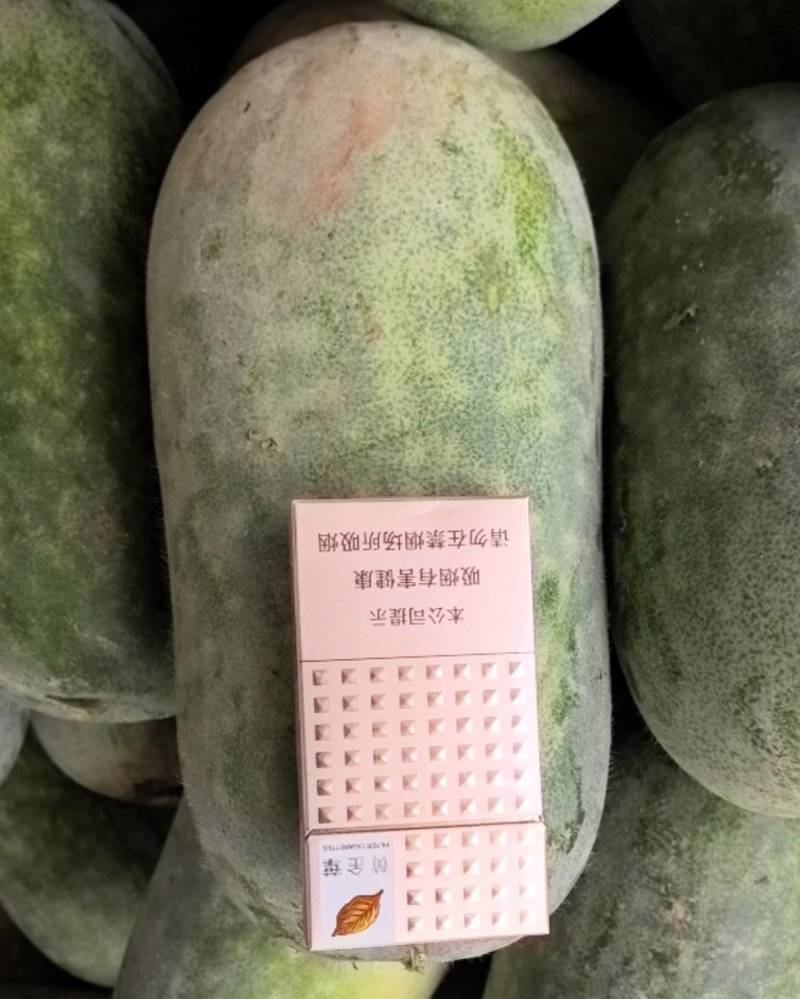 水果冬瓜，按需包装，新鲜直发