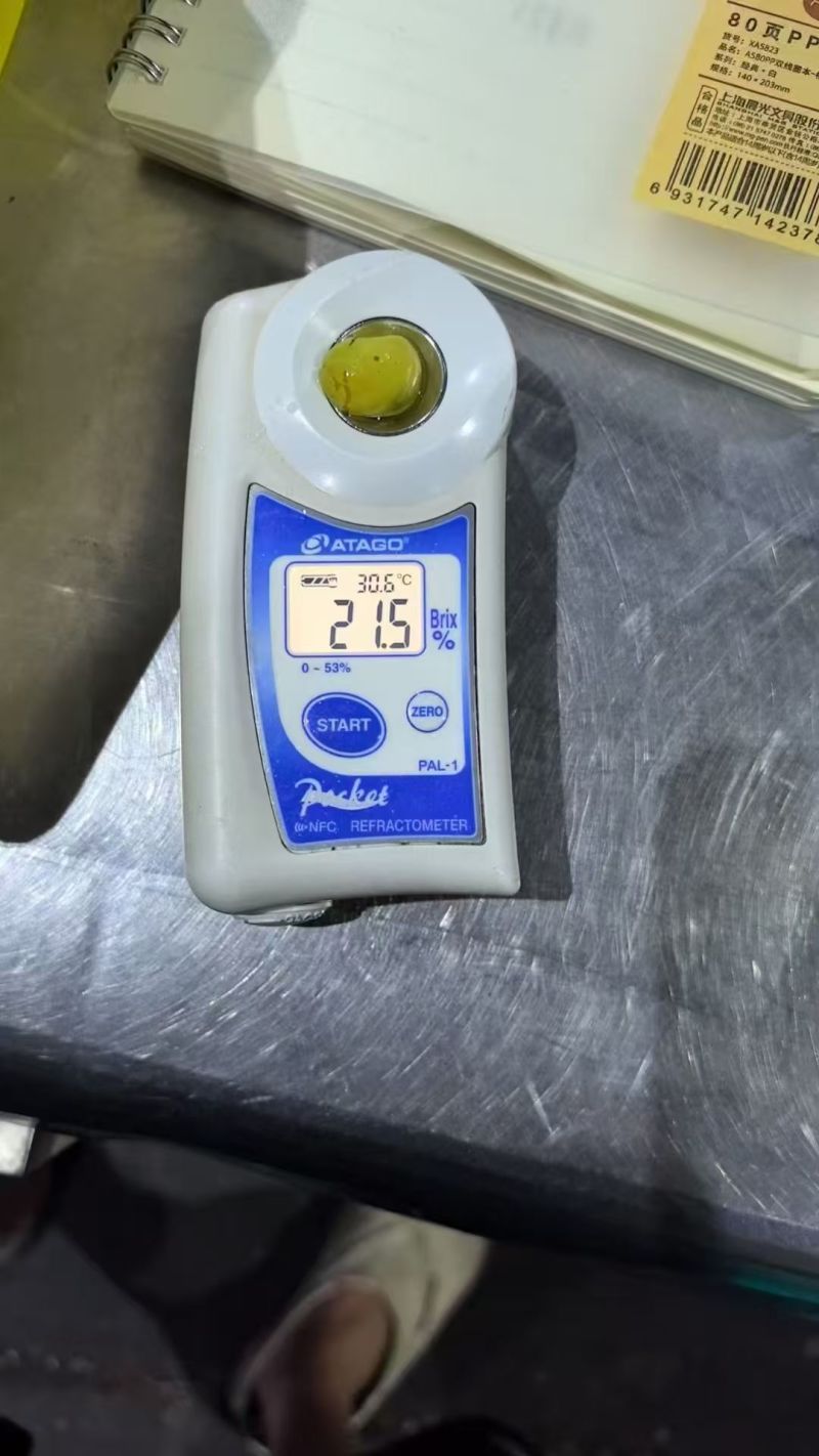 精品无核白鲜葡萄现摘分级分拣冷链整车供应社区商超