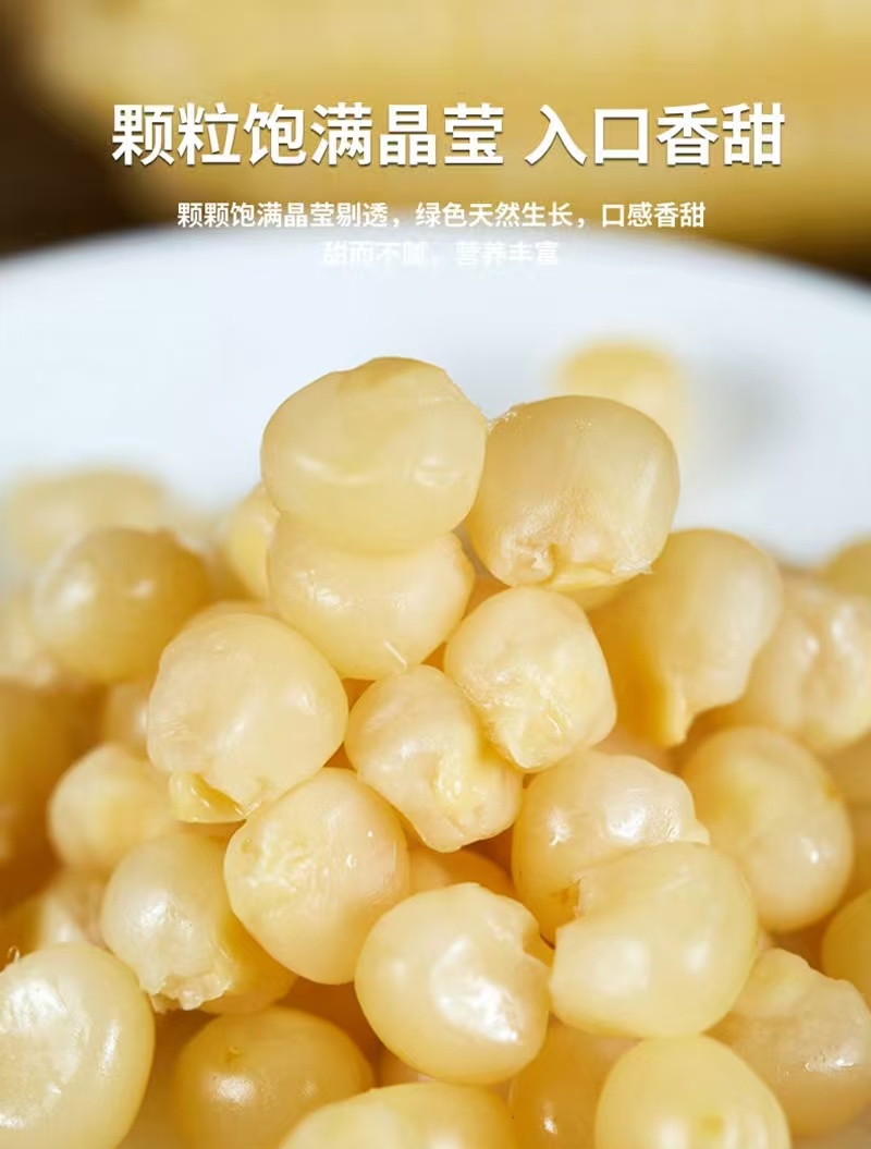 电话聊/西双版纳拇指玉米种植最大货源厂家热卖