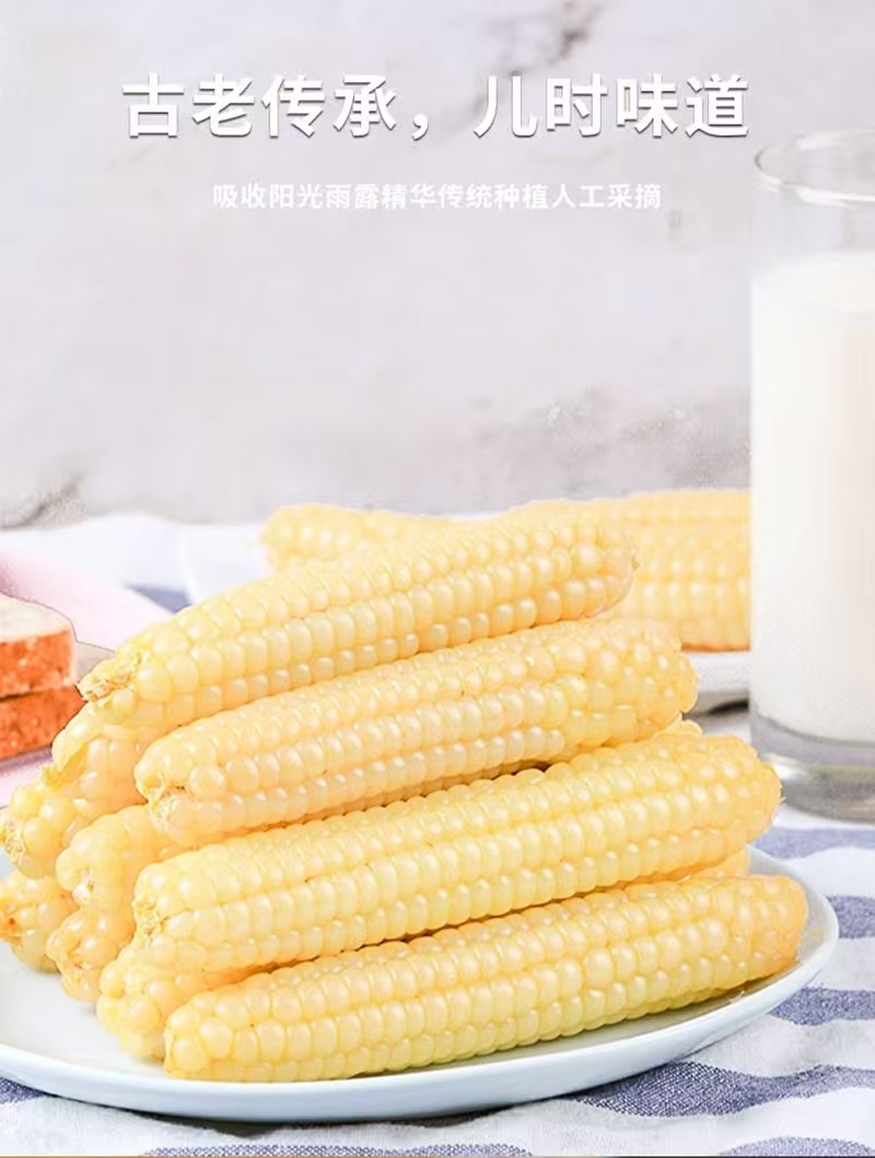 电话聊/西双版纳拇指玉米种植最大货源厂家热卖