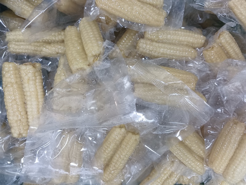 电话聊/西双版纳拇指玉米种植最大货源厂家热卖