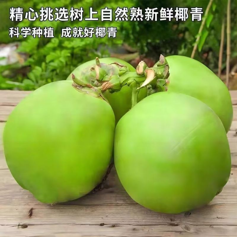 海南椰青产地直供3-4斤小果5斤大果奶茶店商用新鲜