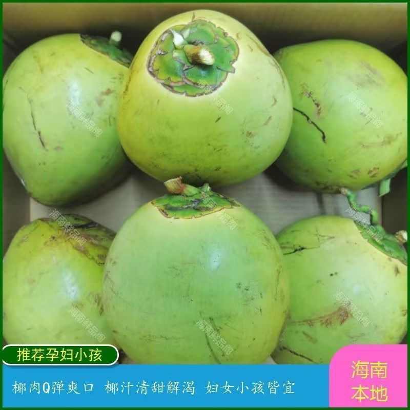 海南椰青产地直供3-4斤小果5斤大果奶茶店商用新鲜