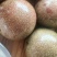 广西灵山壮蜜06百香果农科院新品种高糖爆汁
