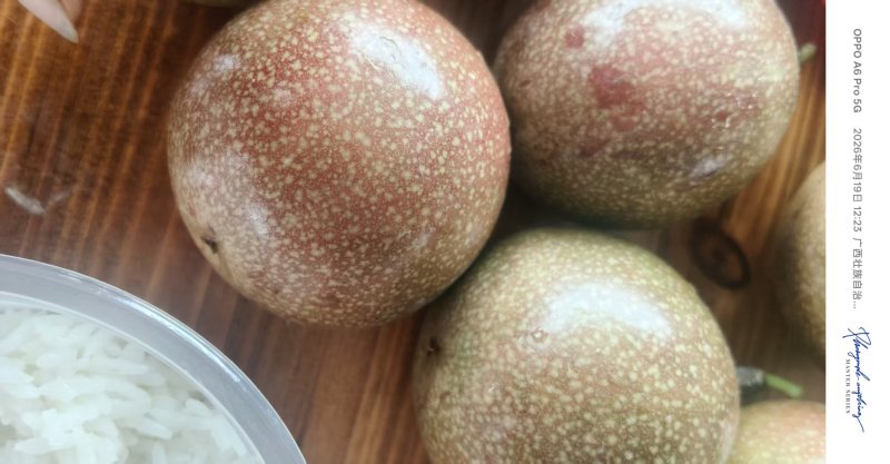 广西灵山壮蜜06百香果农科院新品种高糖爆汁