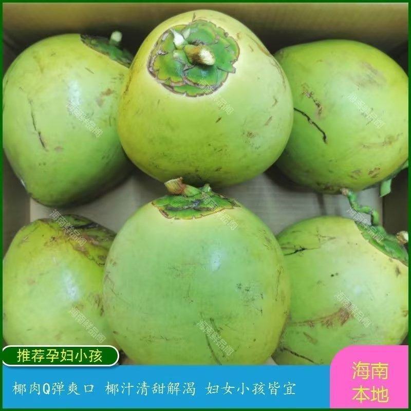 海南椰青产地直供3-4斤小果5斤大果奶茶店商用新鲜