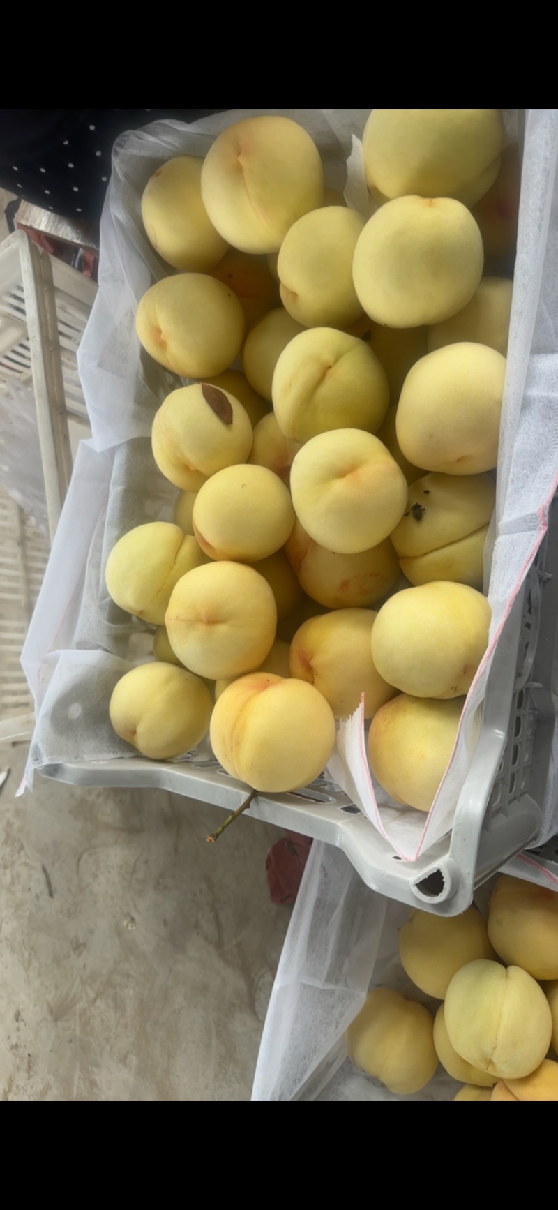 市场通货沙红桃可精包
