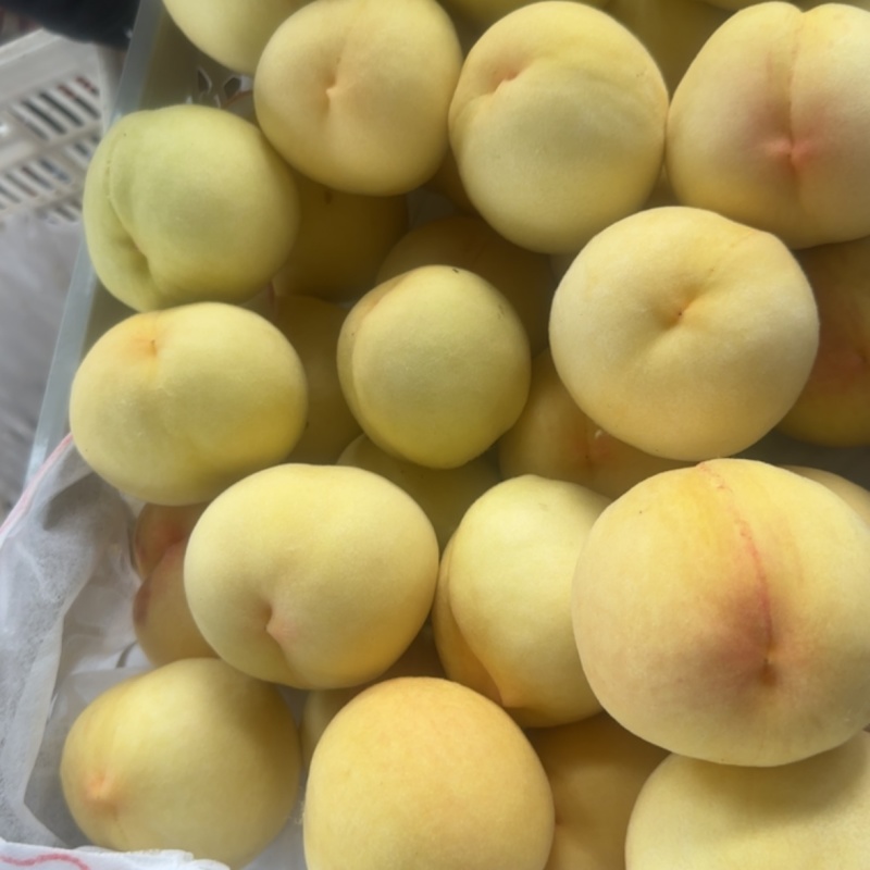 市场通货沙红桃可精包