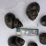 大量出售养殖中华圆田螺，一手货源，价格优惠