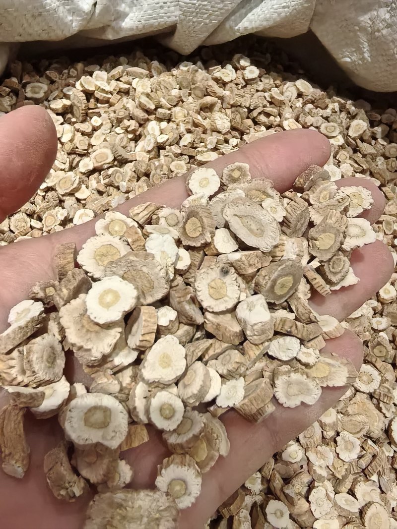 中药板蓝根规格齐全货源充足量大从优直销批发