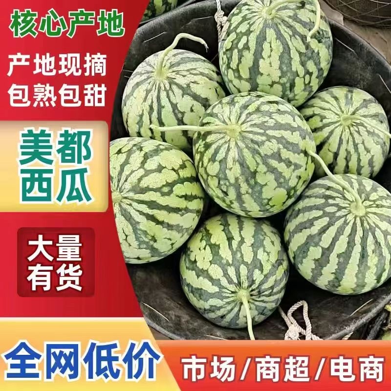 头茬美都西瓜产地直发对接全国保质保量欢迎采购