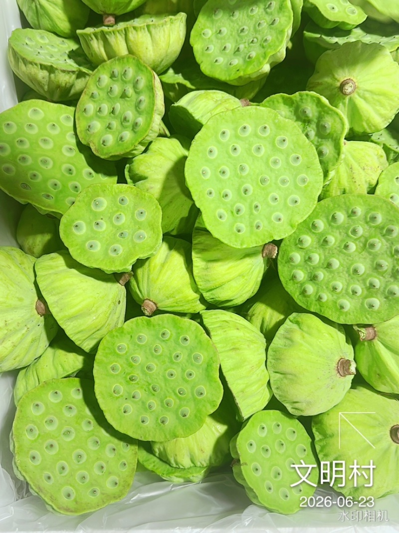 水果莲蓬