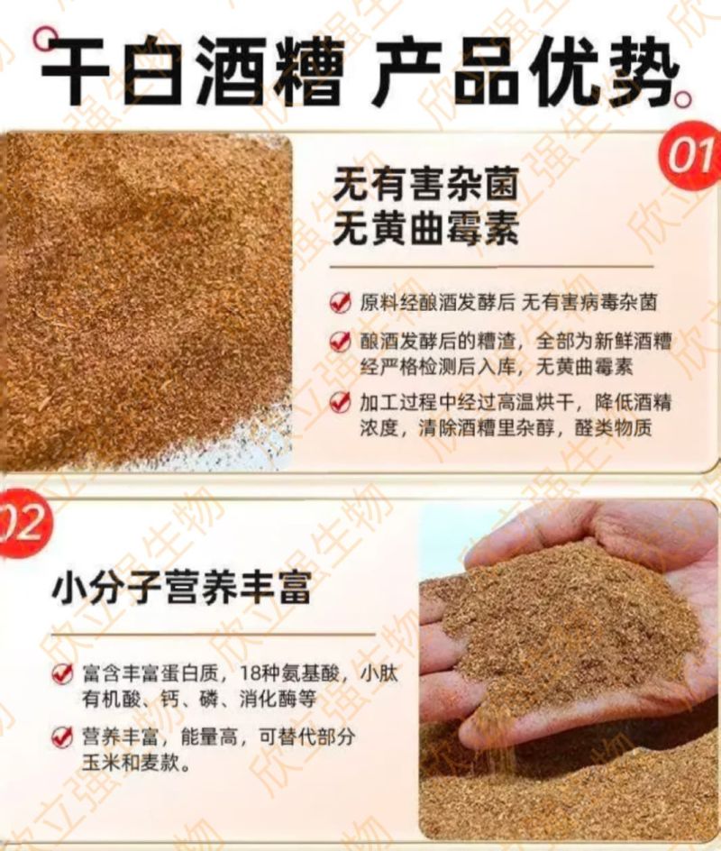 五粮酒糟粉浓香型酱香型干白酒糟粉。厂家直销、一手货源