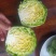 韩美喧菜（甘蓝）