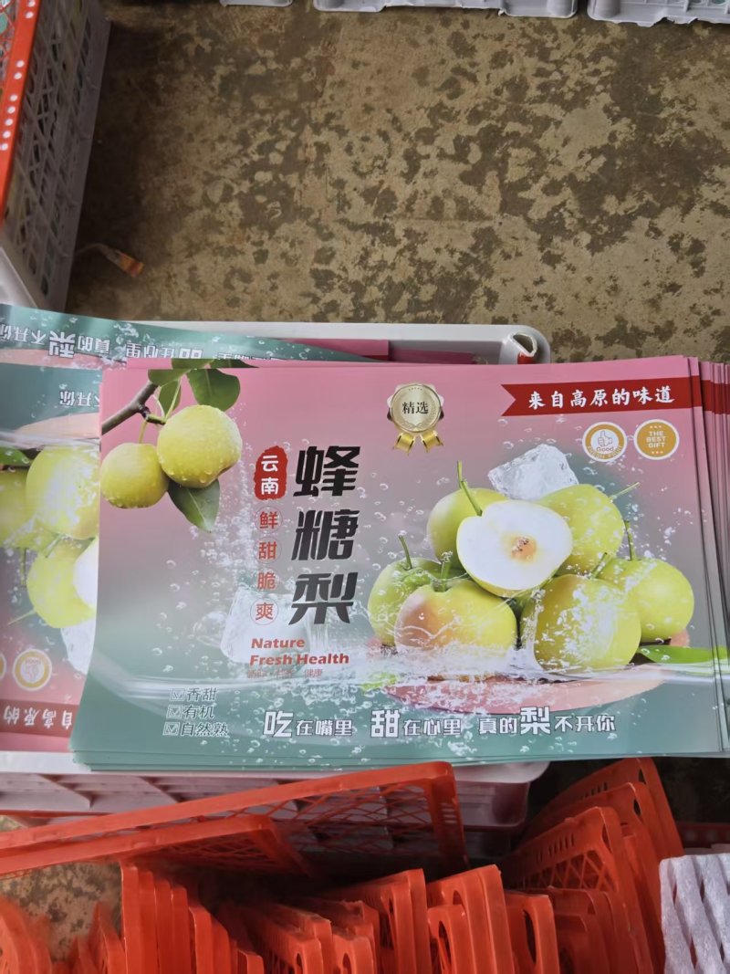 云南精品蜂糖梨种植基地现摘现发质优价廉物超所值