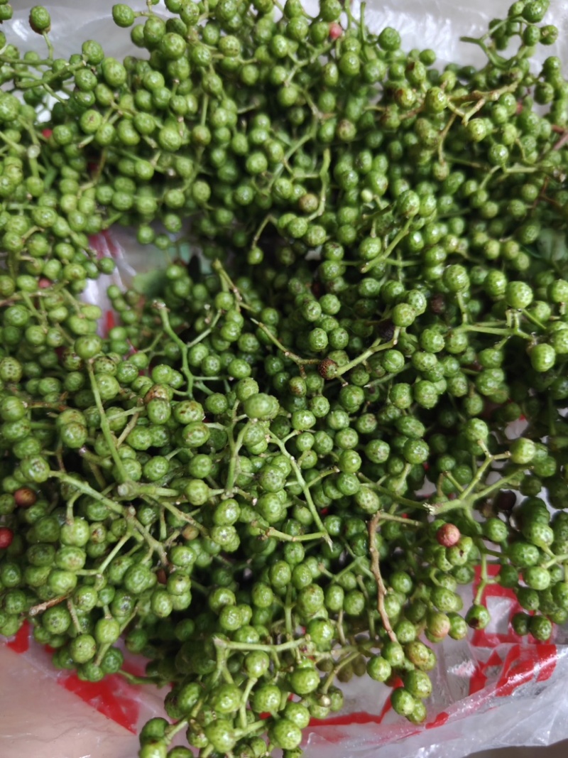 重庆江津青花椒品质保证一手货源诚信经营欢迎选购