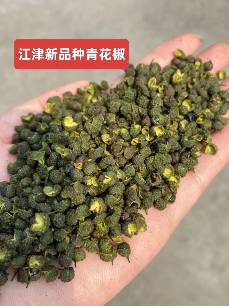 重庆江津青花椒品质保证一手货源诚信经营欢迎选购