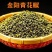 金阳青花椒大量供应一手货源品质保证诚信经营欢迎来电