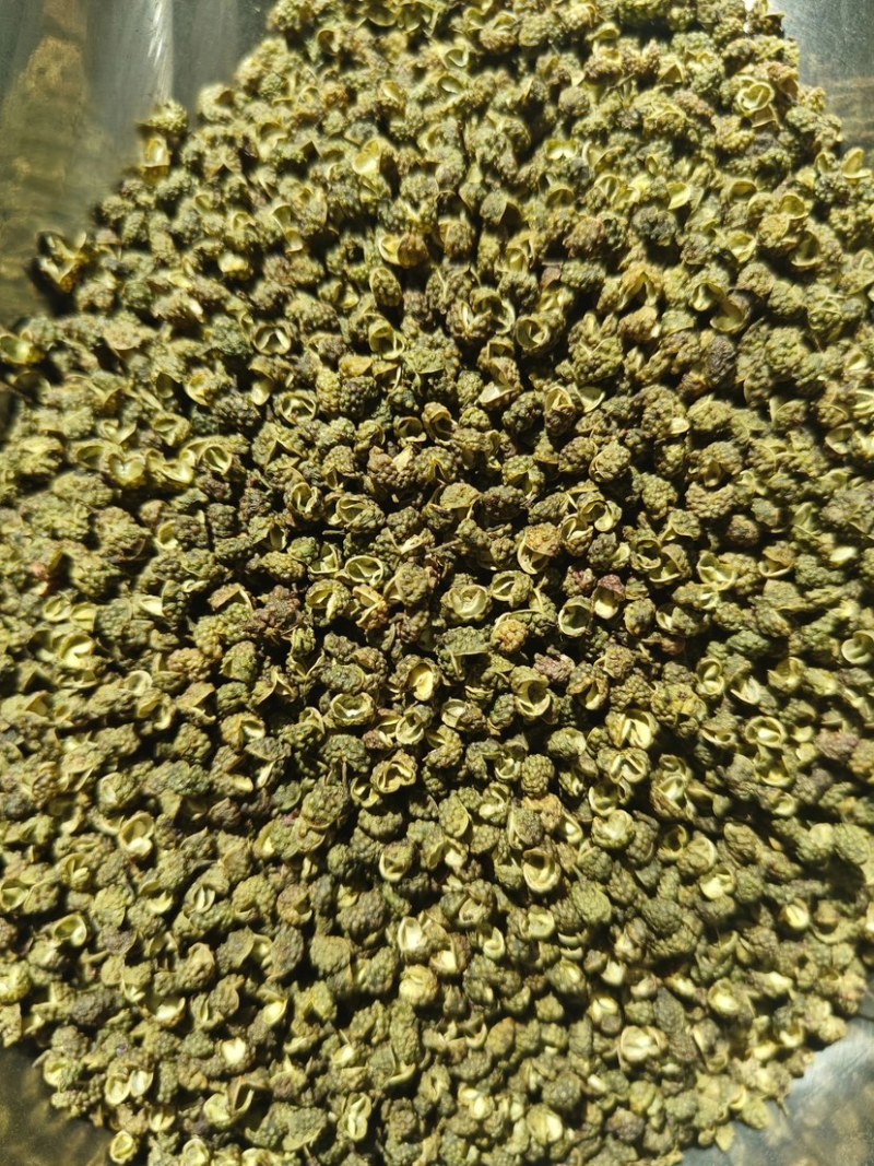 金阳青花椒大量供应一手货源品质保证诚信经营欢迎来电