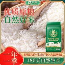 辉粮10斤虾稻香粘米长粒香米猫牙米丝苗米象牙米煲仔饭蛋炒