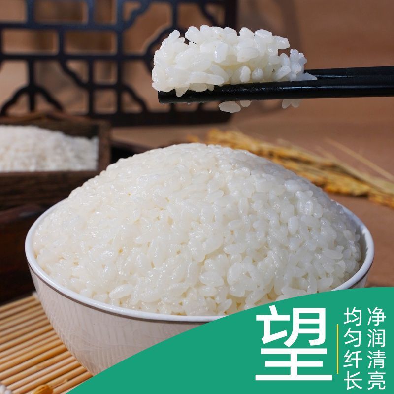 黑龙江粳米圆粒米珍珠米5kg大米批