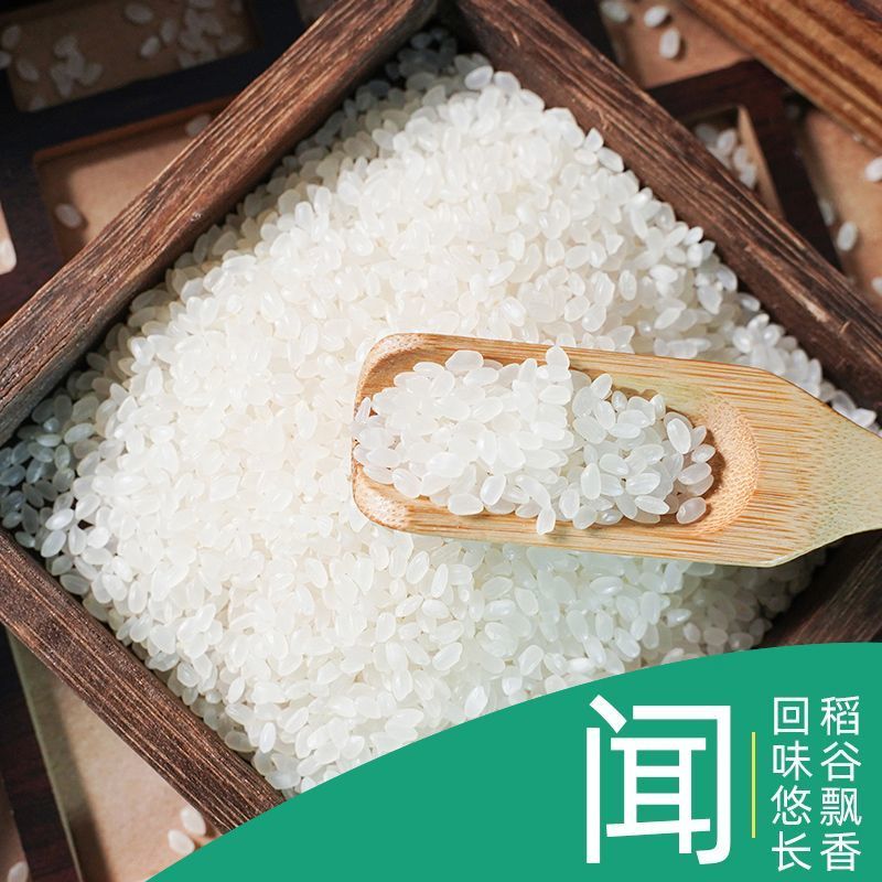 黑龙江粳米圆粒米珍珠米5kg大米批
