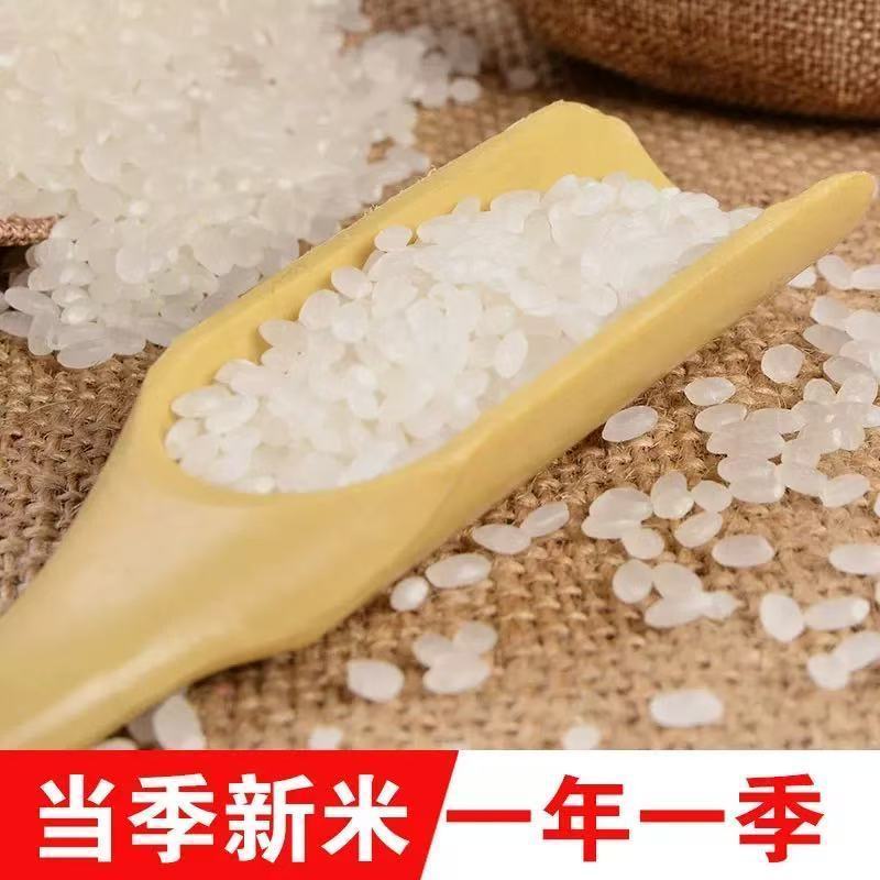 东北蟹田米10斤【黑龙江晚稻米现磨直发）