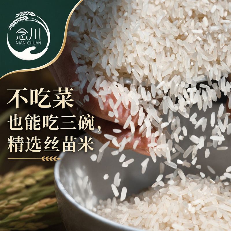 新店开业】特价大米念川长粒米丝苗米50斤装25kg