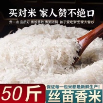 粮心妹长粒丝苗米50斤猫牙米新米煲仔饭优质籼米食堂饭店南
