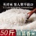 粮心妹长粒丝苗米50斤猫牙米新米煲仔饭优质籼米食堂饭店南