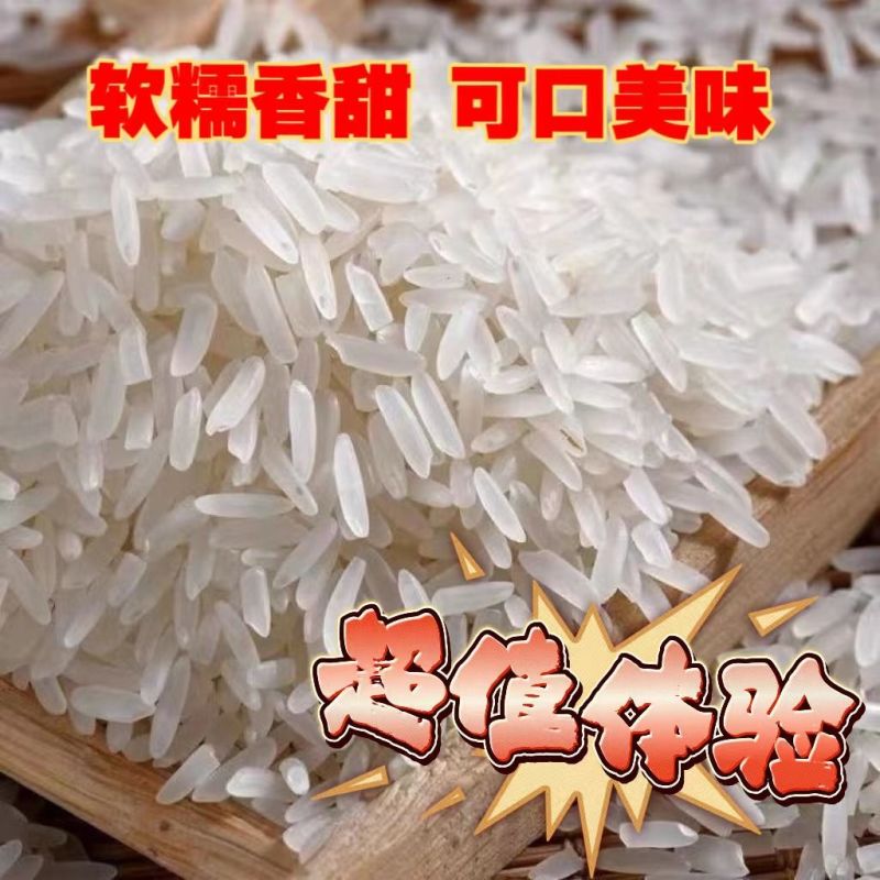 粮心妹长粒丝苗米50斤猫牙米新米煲仔饭优质籼米食堂饭店南