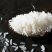 粮心妹长粒丝苗米50斤猫牙米新米煲仔饭优质籼米食堂饭店南