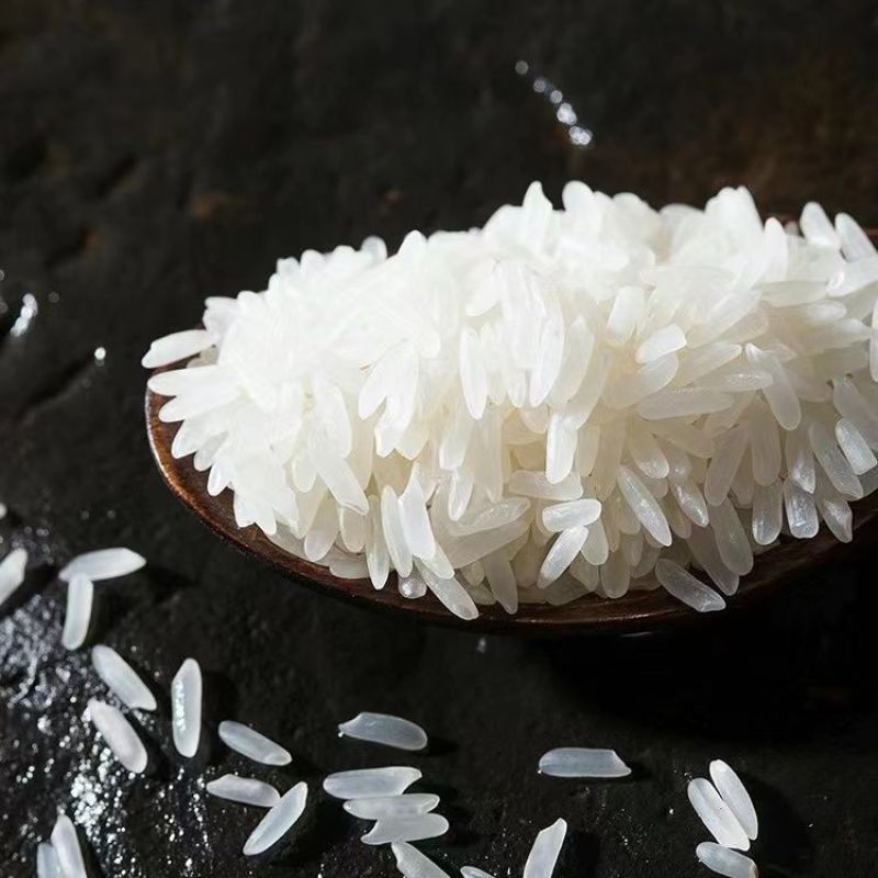 粮心妹长粒丝苗米50斤猫牙米新米煲仔饭优质籼米食堂饭店南