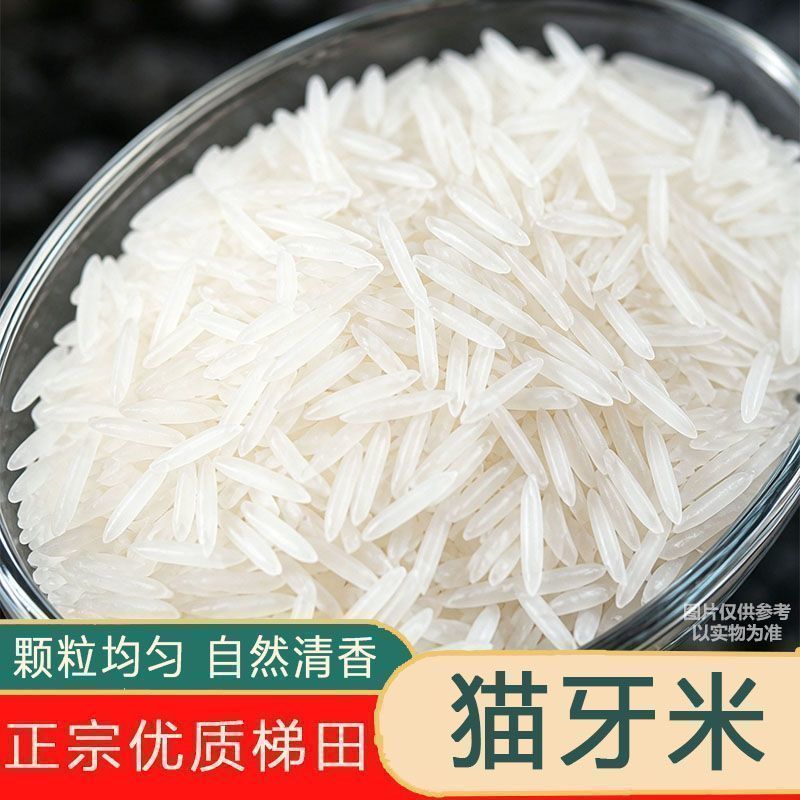 净重50斤】正宗猫牙香米农家现磨直发长粒生态软米批发