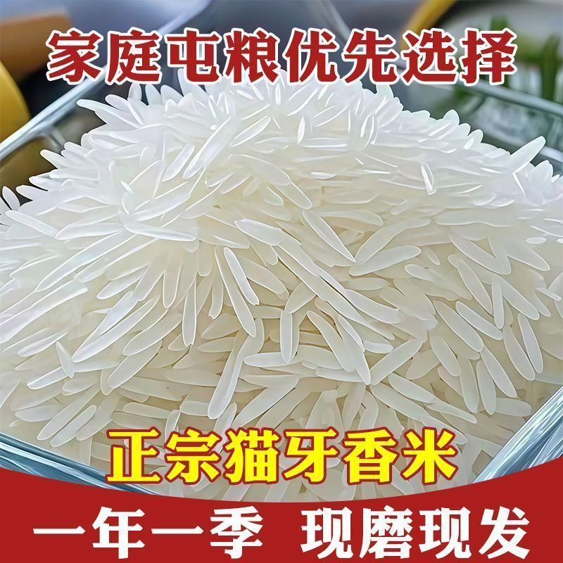 净重50斤】正宗猫牙香米农家现磨直发长粒生态软米批发