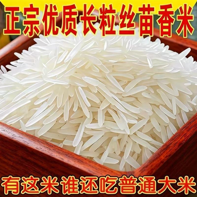 净重50斤】正宗猫牙香米农家现磨直发长粒生态软米批发