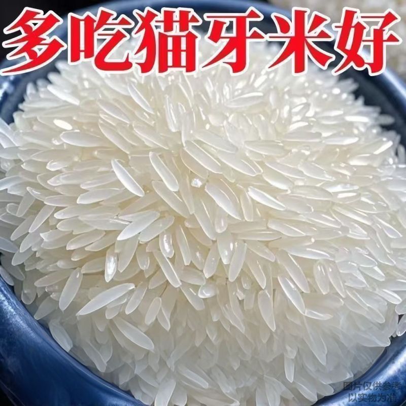净重50斤】正宗猫牙香米农家现磨直发长粒生态软米批发