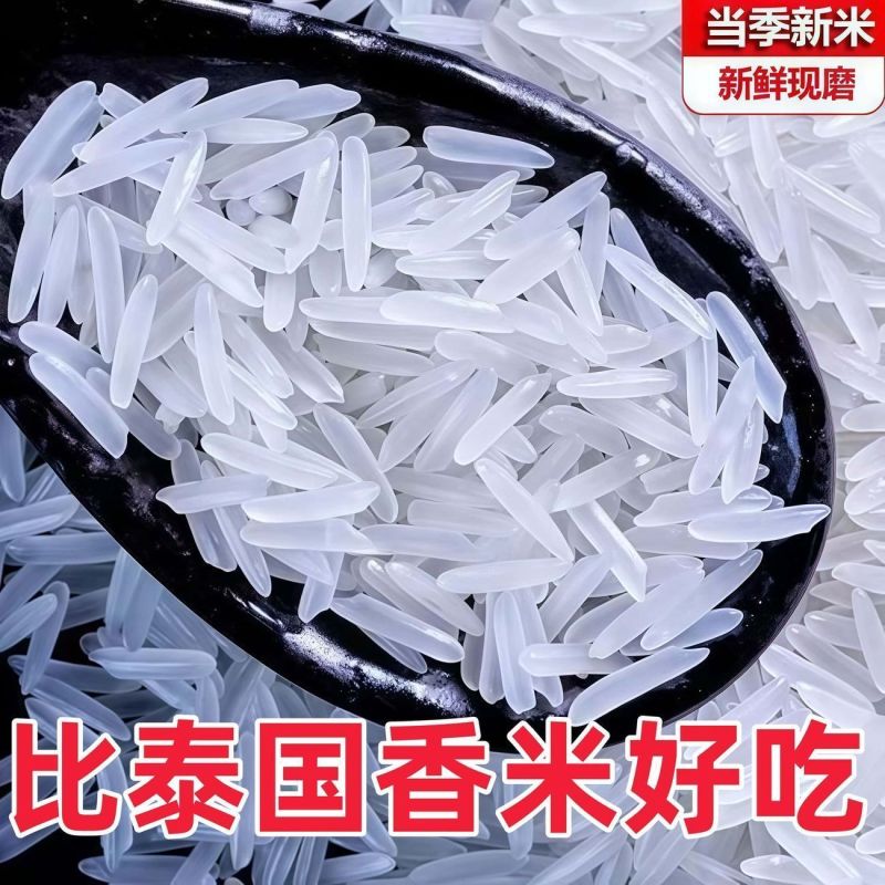 净重50斤】正宗猫牙香米农家现磨直发长粒生态软米批发
