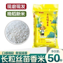 长粒香丝苗米50斤南方大米25kg晚稻香白米饭堂店商用现