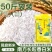 长粒香丝苗米50斤南方大米25kg晚稻香白米饭堂店商用现