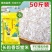 长粒香丝苗米50斤南方大米25kg晚稻香白米饭堂店商用现